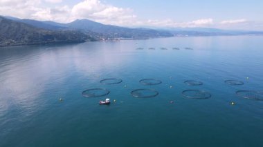 Balık havuzlarının görüntüsü, su kültürünün ana formu. Somon, levrek, levrek ve alabalık denizde, göllerde ve göllerde ticari balıkçılık için kullanılan balık havuzlarında en yaygın olarak yetişen balıklardır..
