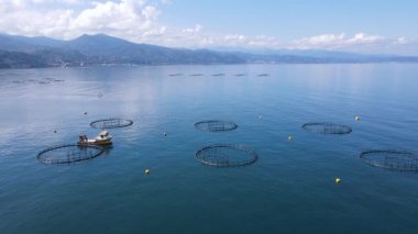 Balık havuzlarının görüntüsü, su kültürünün ana formu. Somon, levrek, levrek ve alabalık denizde, göllerde ve göllerde ticari balıkçılık için kullanılan balık havuzlarında en yaygın olarak yetişen balıklardır..