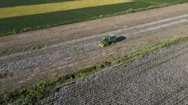 Makinelerle pamuk hasadı görüntüsü, yeşilde, sarıda, beyaz tarlalarda ve tarım alanlarında çalışan biçerdöveri birleştirin. Tarım ve iş makineleri.