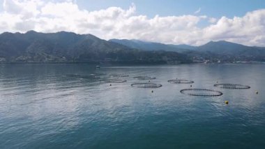 Balık havuzlarının görüntüsü, su kültürünün ana formu. Somon, levrek, levrek ve alabalık denizde, göllerde ve göllerde ticari balıkçılık için kullanılan balık havuzlarında en yaygın olarak yetişen balıklardır..