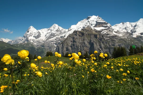 Berner Oberland, Suiza — Foto de Stock