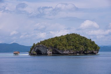 Ada doğa rezerv Raja Ampat, Endonezya