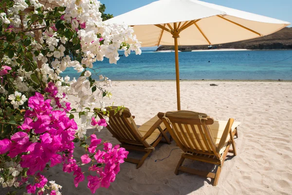 Adanın Sebayur, Endonezya kumsalda