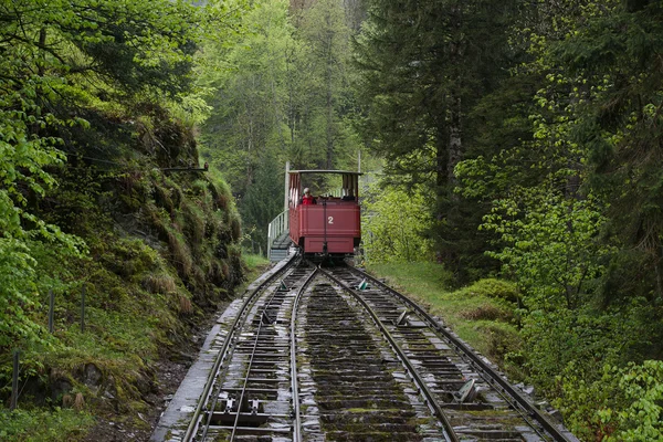 Reichenbach Falls, İsviçre için tren