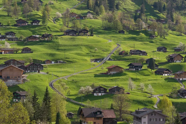 El pueblo en el valle de Grindelwald, Suiza — Foto de Stock