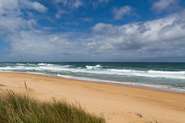 Okyanus kıyısında, Nsw, Avustralya