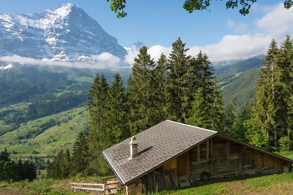 格林德沃，瑞士山谷的景色 — 图库照片