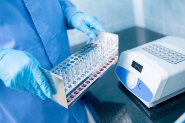 Örnek hazırlama, tıbbi test ve araştırma için dijital kuru blok kuluçka makinesinin yanında test tüpü askısı tutan eldivenli bir işçinin yakın çekimi.