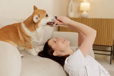 Corgi köpeğiyle oynarken kanepede dinlenen genç bir kadın. Evcil hayvan ve ev sahibi arasındaki sevgi, güven ve neşe dolu dostluğu gösteren samimi bir an..