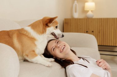Corgi köpeği sıcak bir oturma odasında onun üstünde dururken mutlu bir kadın kanepede uzanıyor. Sıcak, kapalı bir yaşam tarzı. Şefkat, güven ve neşe dolu bir arkadaşlık..