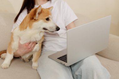 Dizüstü bilgisayar kullanırken kanepede oturan bir kadın. Evdeki rahat yaşam tarzı hayvan sahipliğini, online alışverişi ve dijital kolaylığı temsil ediyor..