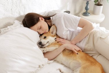 Kadının korgi köpek sıcaklığını dijital termometre kullanarak kontrol ettiği yakın plan. Ev ortamında hayvan sağlığı ve veteriner bakımı kavramı.