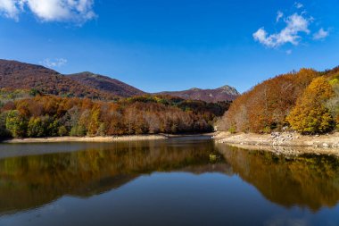 Montseny 'nin derin ormanları Katalonya, İspanya' da renkli bir sonbahar.