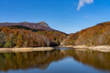 Montseny 'nin derin ormanları Katalonya, İspanya' da renkli bir sonbahar.