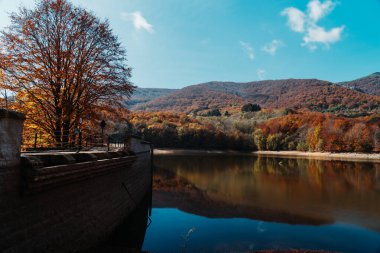 Montseny 'nin derin ormanları Katalonya, İspanya' da renkli bir sonbahar.