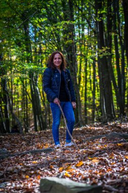 Montseny 'nin derin ormanları Katalonya, İspanya' da renkli bir sonbahar.