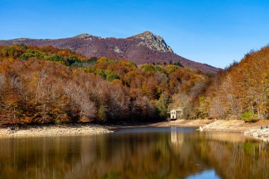 Montseny 'nin derin ormanları Katalonya, İspanya' da renkli bir sonbahar.