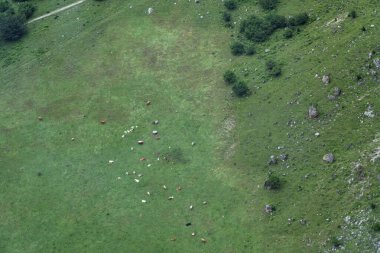 Picos de Europa dağında Fuentede, Cantabria, İspanya.