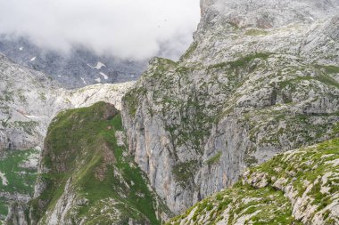 Picos de Europa dağında Fuentede, Cantabria, İspanya.