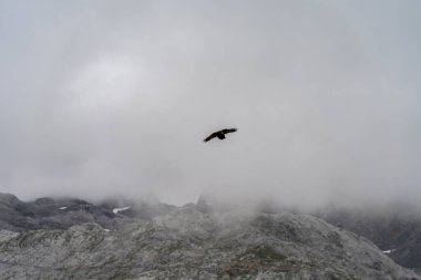 Picos de Europa dağında Fuentede, Cantabria, İspanya.