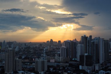 Sarı hibiscus yakın çekim