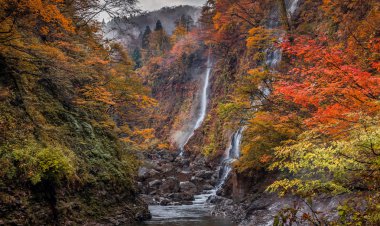 Sabah erken sonbahar manzara