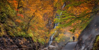 Sabah erken sonbahar manzara