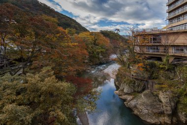 Tokyo sonbahar manzara