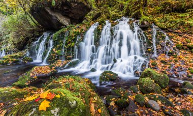 Sonbahar ormanında şelale