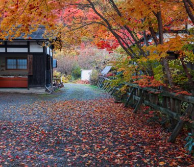 Sonbahar Kakunodate Akita sokak