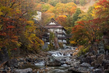Japan baths between autumn trees clipart