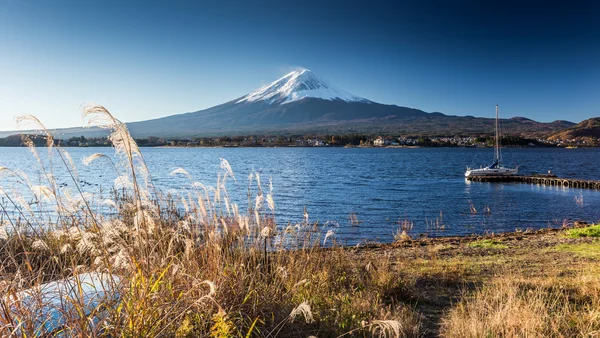 Góra Fuji i jesień liści — Zdjęcie stockowe