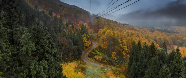 Teleférico acima de montanhas arborizadas — Fotografia de Stock