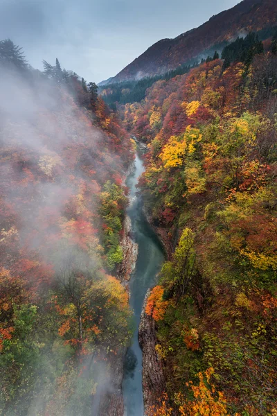 Ranní podzimní krajina — Stock fotografie