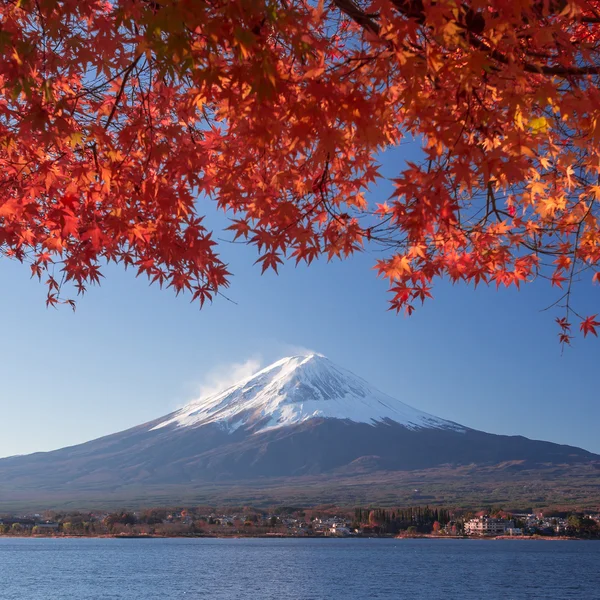 Montaña Fuji y follaje otoñal —  Fotos de Stock