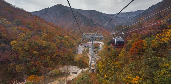 Teleférico acima de montanhas arborizadas — Fotografia de Stock