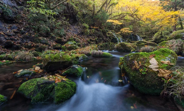 Водопад в осеннем лесу — стоковое фото
