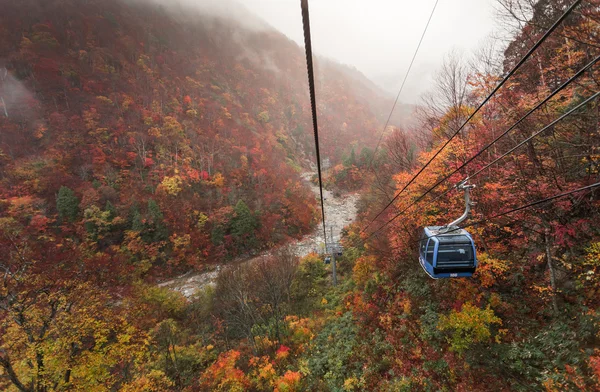 Teleférico acima de montanhas arborizadas — Fotografia de Stock