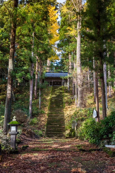 Trappor till templet mellan träden — Stockfoto