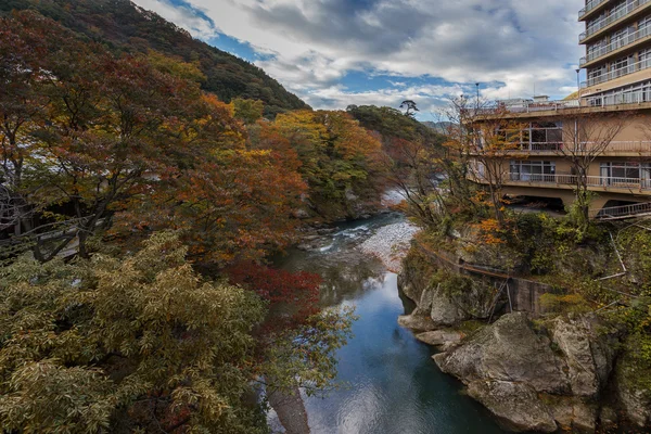 Paisaje de otoño en tokyo —  Fotos de Stock