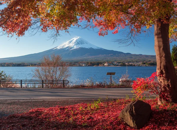 Berg Fuji en herfst bladeren — Stockfoto