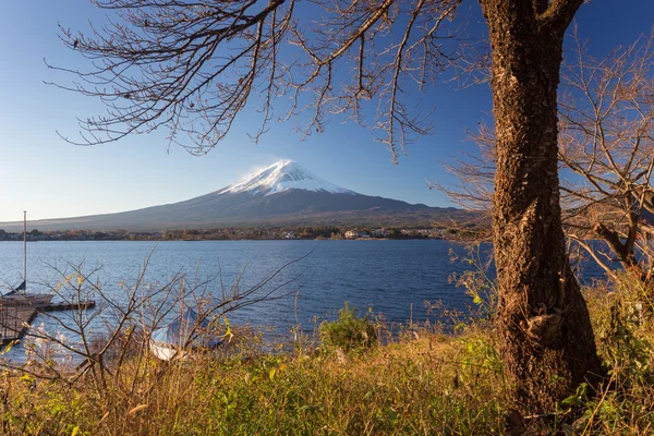 Βουνό Fuji και φύλλα το φθινόπωρο — Φωτογραφία Αρχείου