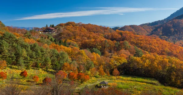 Berge in akita, japan — Stockfoto