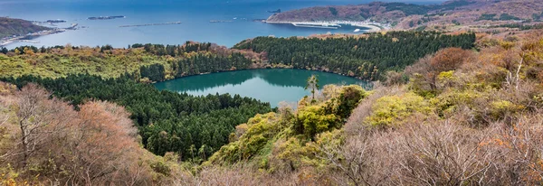 日本在树林里湖 — 图库照片