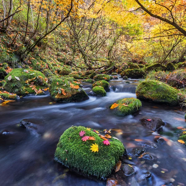 Vodopád v podzimním lese — Stock fotografie