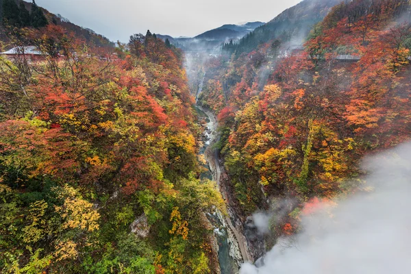 早朝の秋の風景 — ストック写真