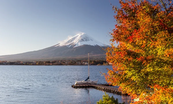 Montanha Fuji e folhagem de outono — Fotografia de Stock