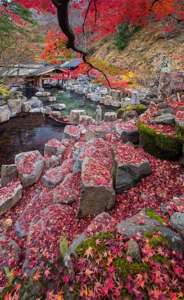 Podzimní listí javor na kamenech — Stock fotografie