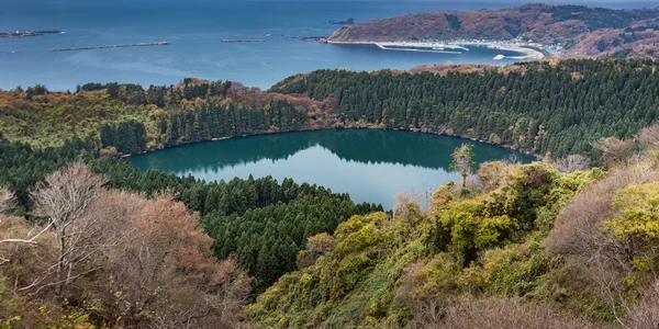 Японское озеро в лесу — стоковое фото