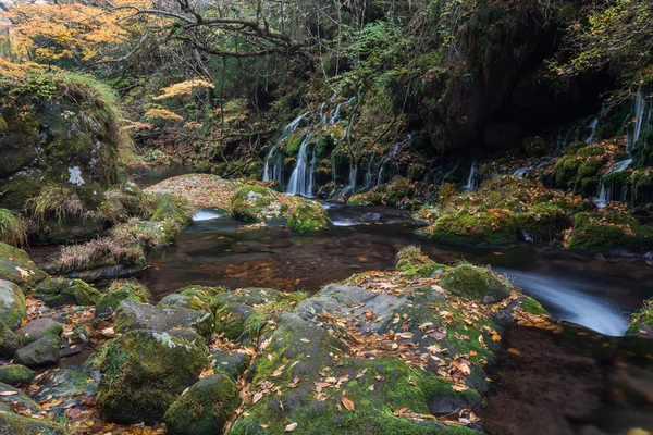 Водопад в осеннем лесу — стоковое фото
